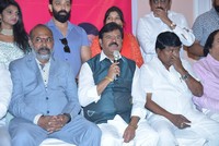 Telangana Film Chamber Of Commerce Press Meet